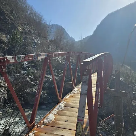 In Дом отдыха