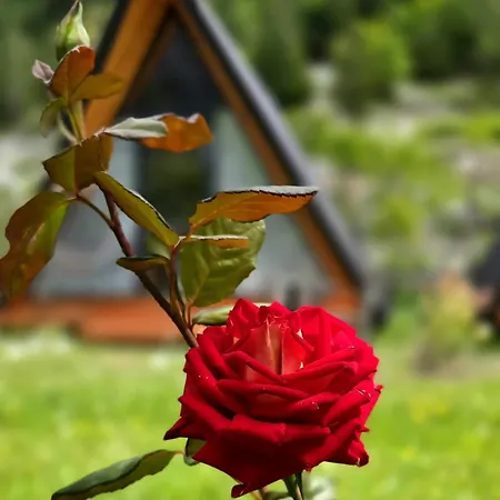 In Casa vacanze Theth