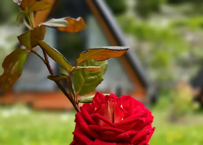 In Casa vacanze Theth